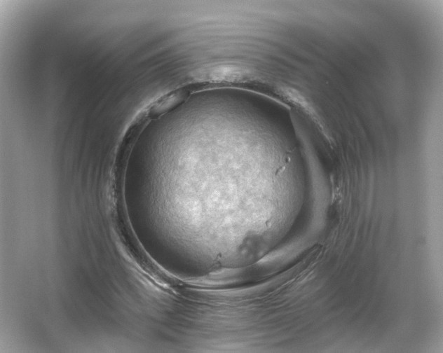 X0000066090392200603131209