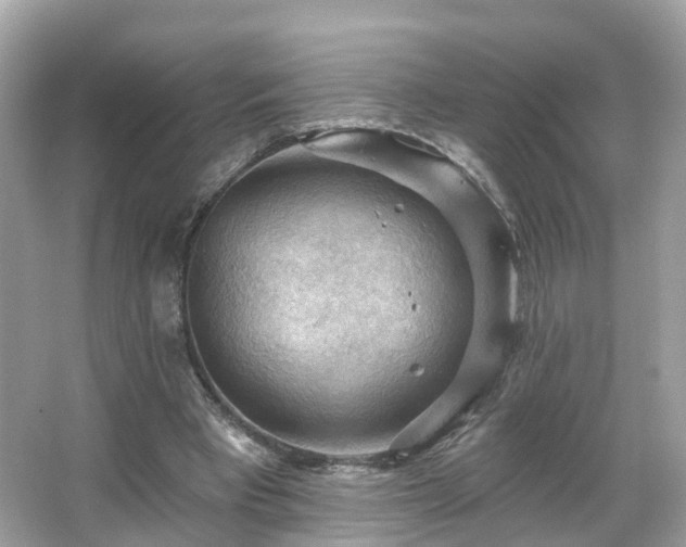 X0000066090393200603131209