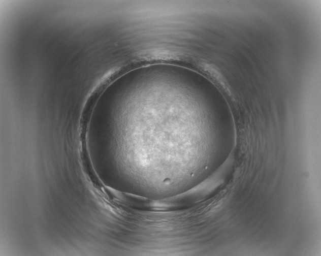 X0000066090395200603131209