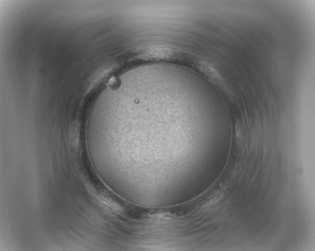 X0000066090396200603131209