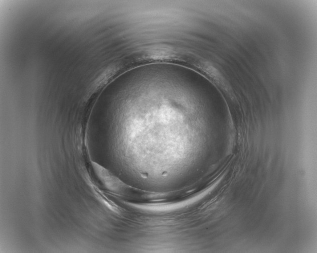 X0000066090397200603131209