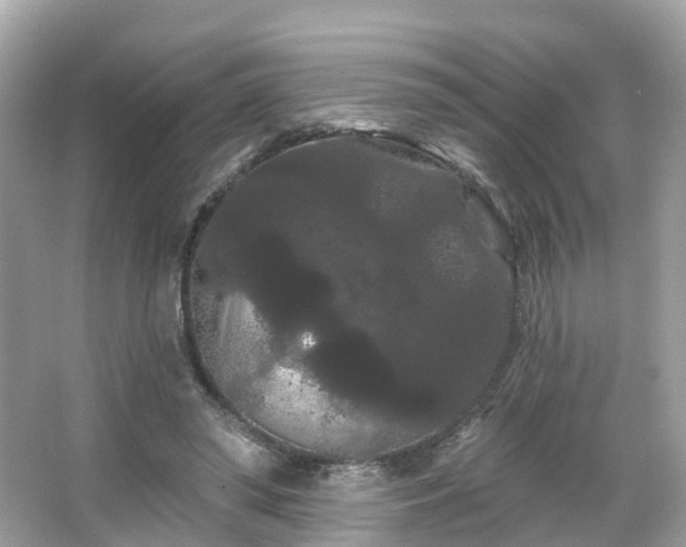 X0000066090398200603131209