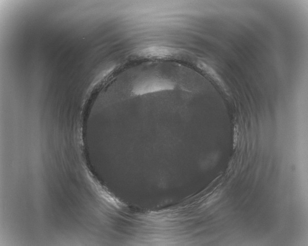 X0000066090399200603131209