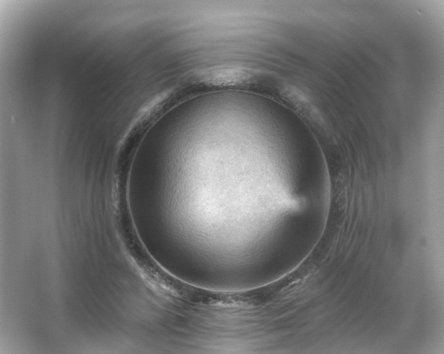 X0000066090400200603131209