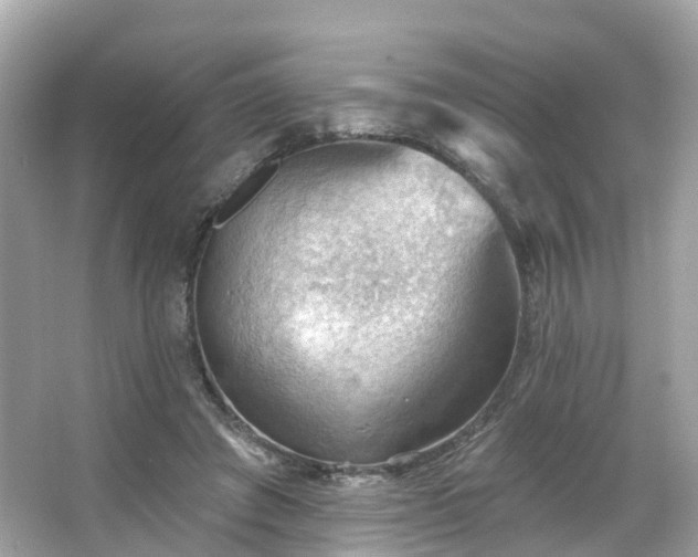 X0000066090401200603131209