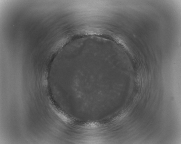 X0000066090402200603131209