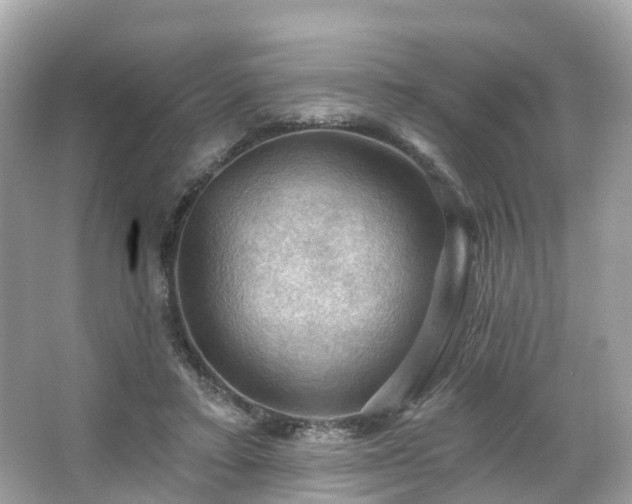 X0000066090403200603131209