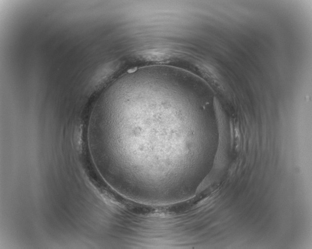 X0000066090404200603131209