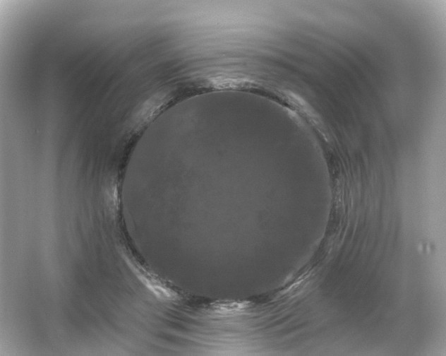 X0000066090405200603131209