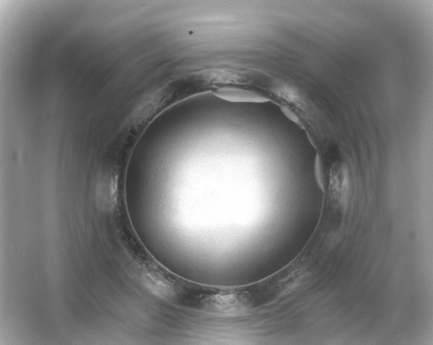 X0000066090406200603131209