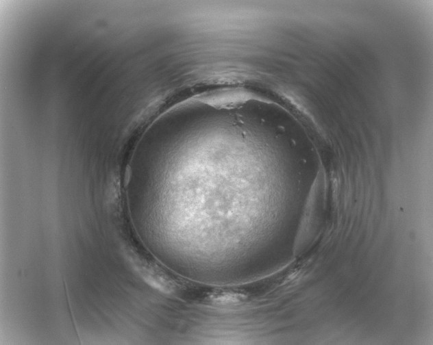 X0000066090407200603131209