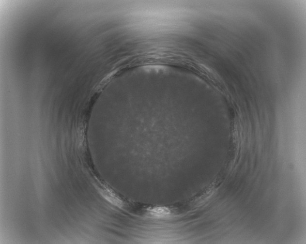 X0000066090409200603131209