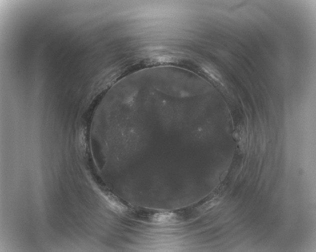 X0000066090410200603131209