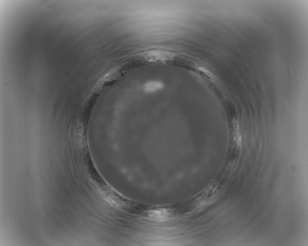 X0000066090411200603131209