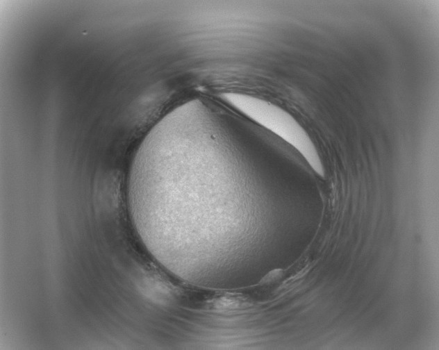 X0000066090412200603131209