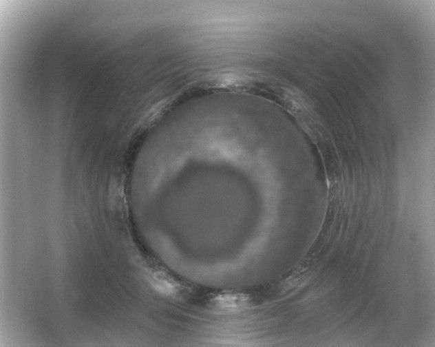 X0000066090415200603131209