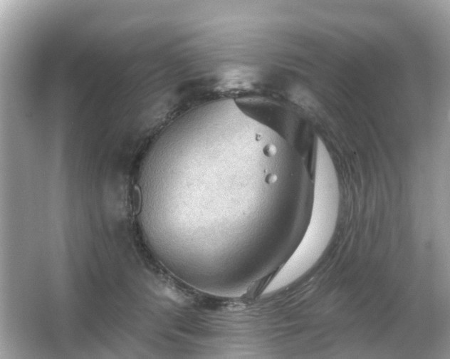 X0000066090416200603131209