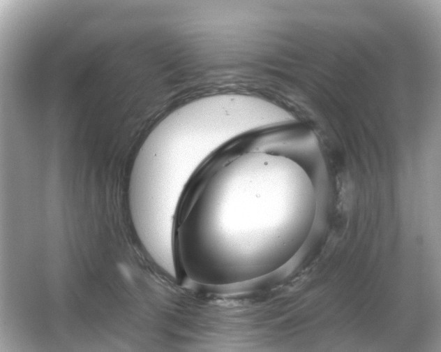 X0000066090417200603131209