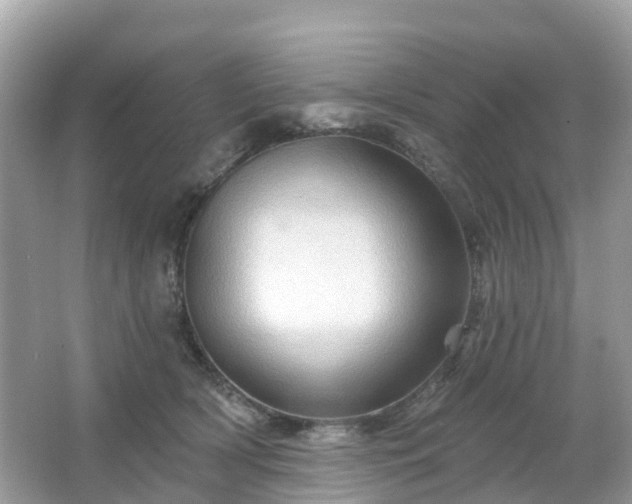 X0000066090418200603131209