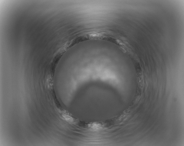 X0000066090419200603131209