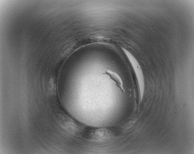 X0000066090420200603131209