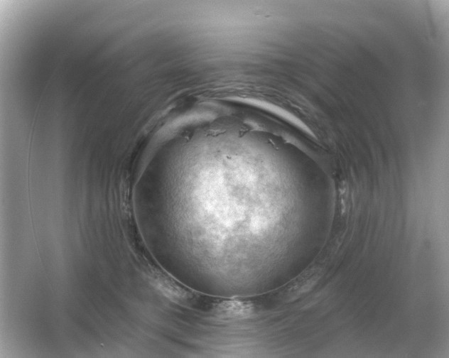 X0000066090421200603131209