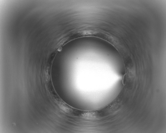 X0000066090422200603131209