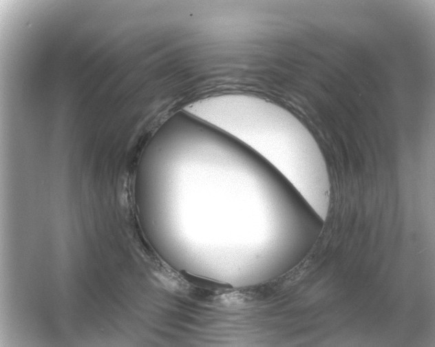 X0000066090423200603131209