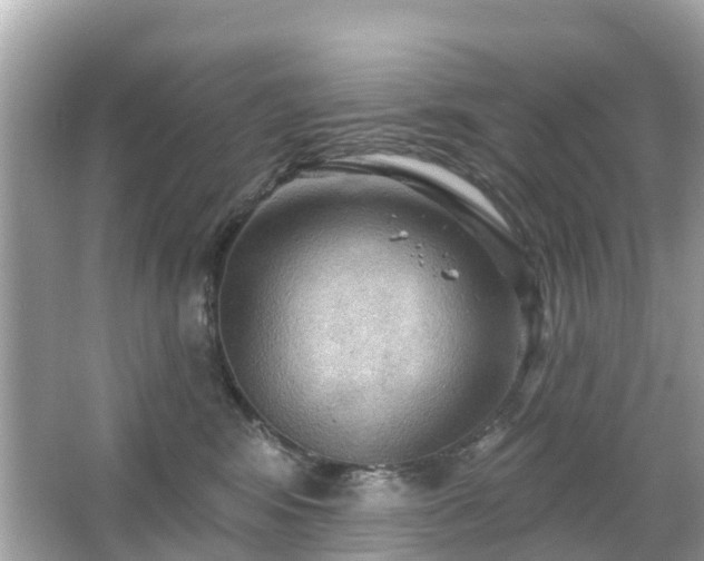 X0000066090424200603131209