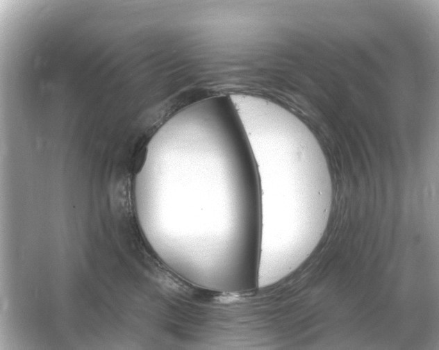 X0000066090425200603131209