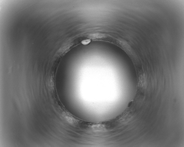 X0000066090426200603131209