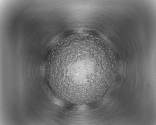 X0000066090427200603131208