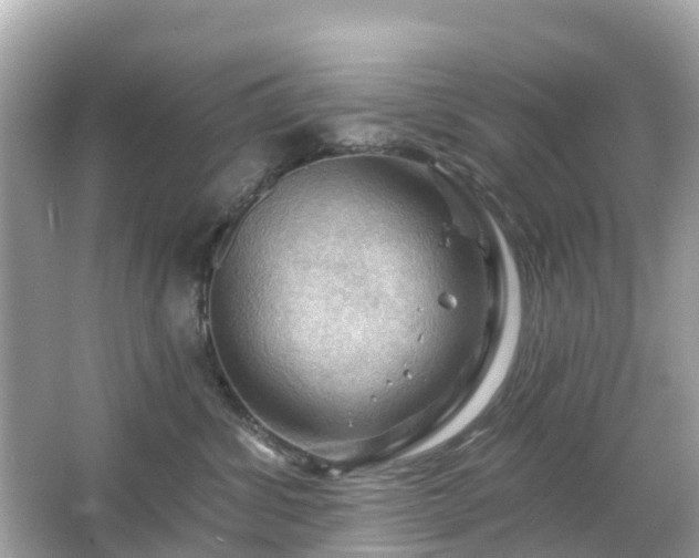 X0000066090428200603131208