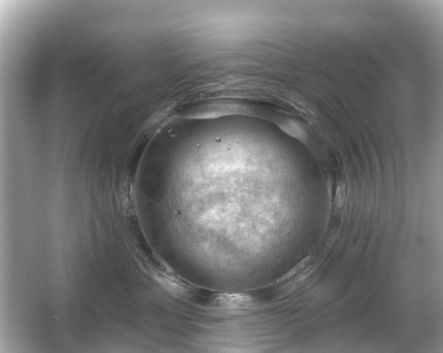 X0000066090429200603131208