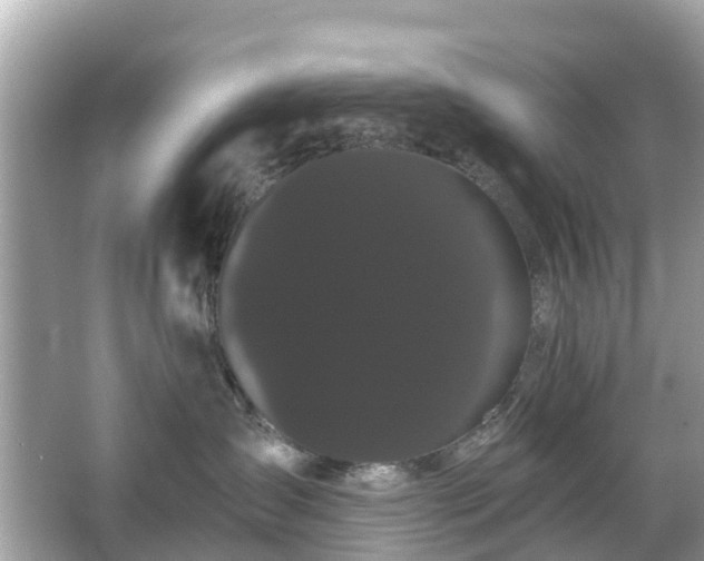 X0000066090431200603131208