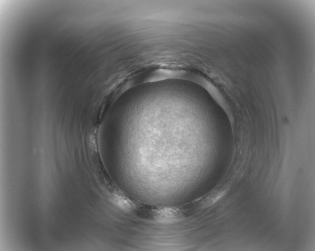 X0000066090432200603131208