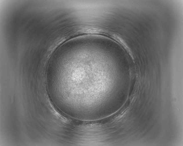 X0000066090433200603131208