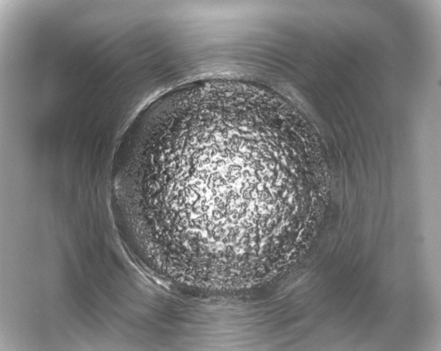 X0000066090434200603131208