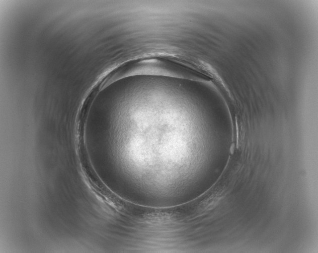 X0000066090435200603131208