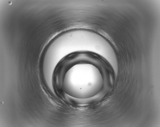 X0000066090436200603131208