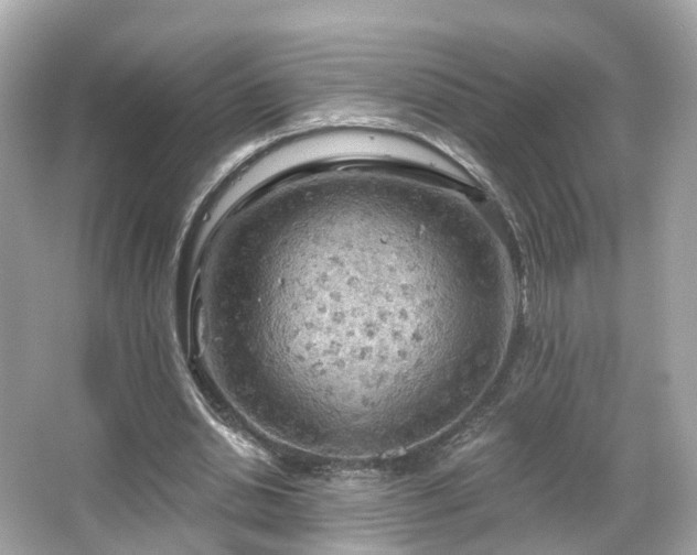 X0000066090438200603131208