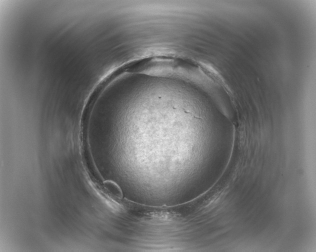 X0000066090439200603131208