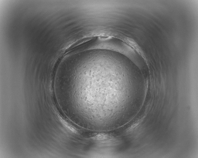 X0000066090441200603131208