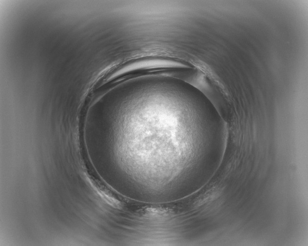 X0000066090442200603131208