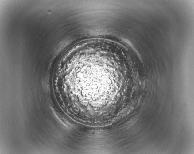 X0000066090443200603131208