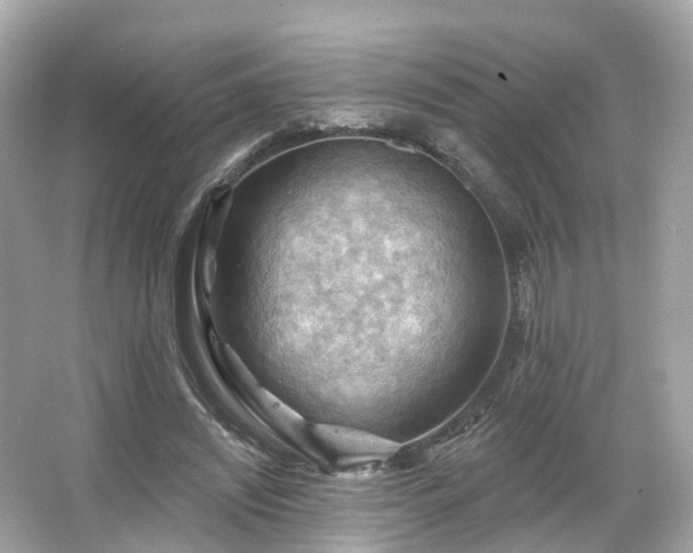 X0000066090444200603131208