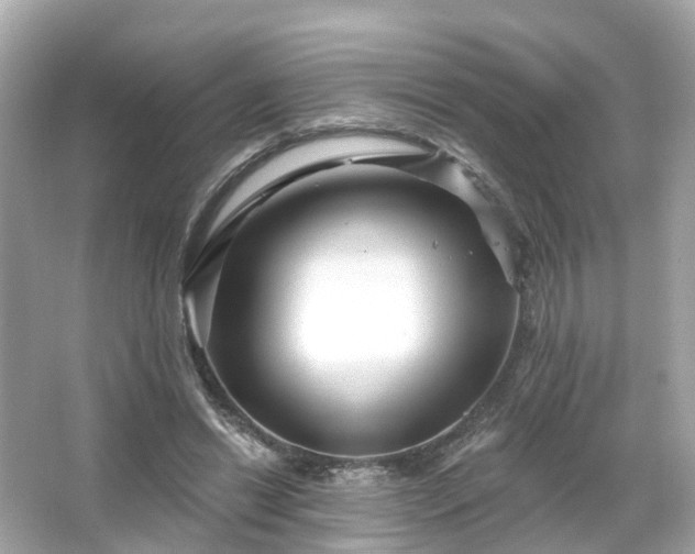 X0000066090446200603131208