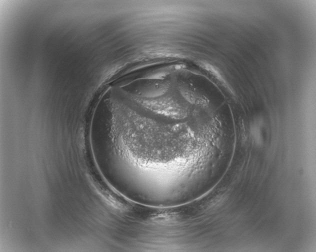 X0000066090447200603131208