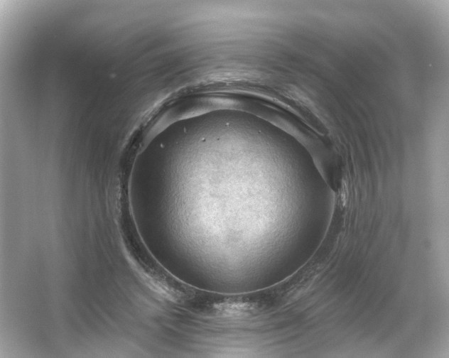 X0000066090448200603131208