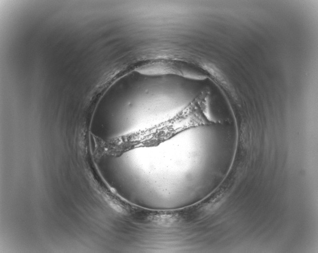 X0000066090449200603131208